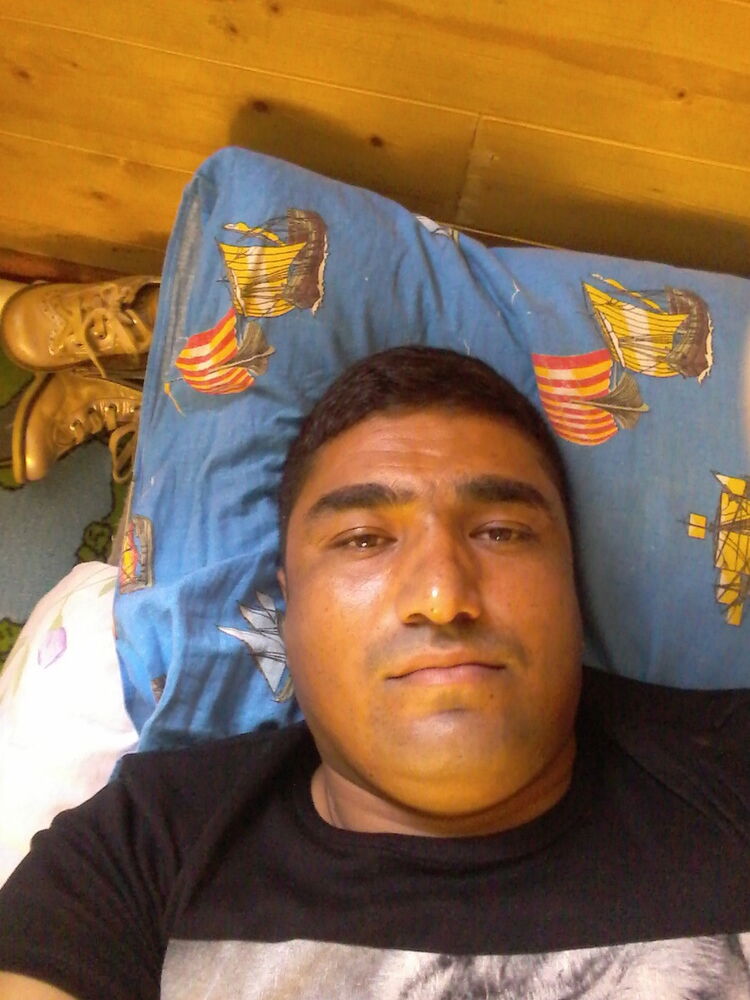  7958954  , 37 ,    