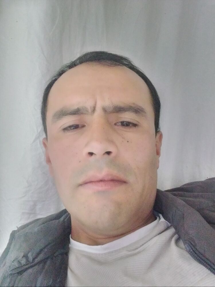  40200304  , 37 ,    