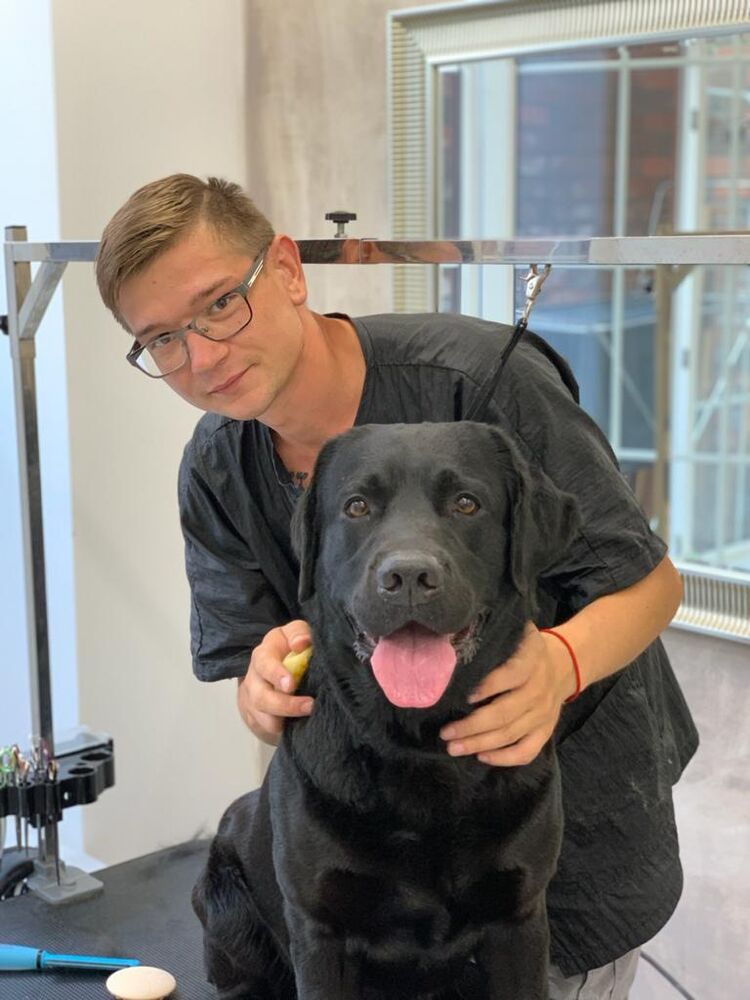 ���� 27568254 ������� ������, 36 ���, ���� ���������� � ������������