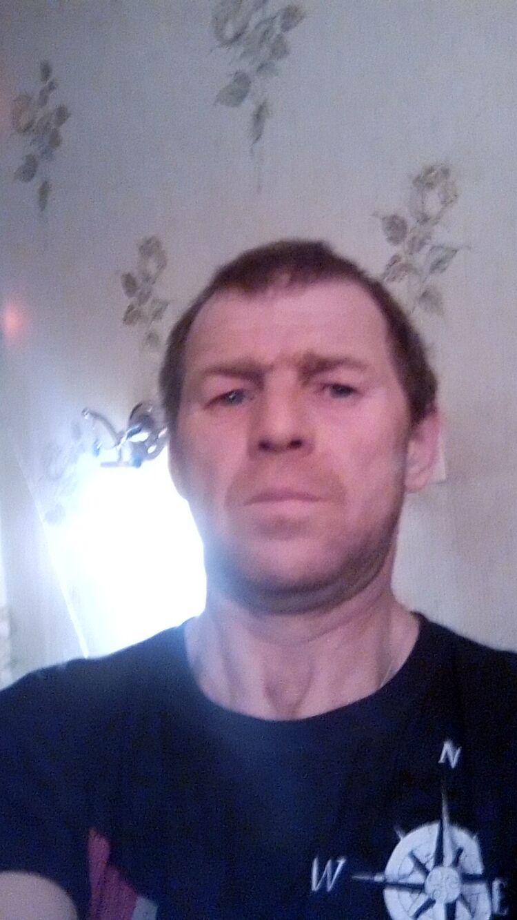  31771454  , 48 ,    