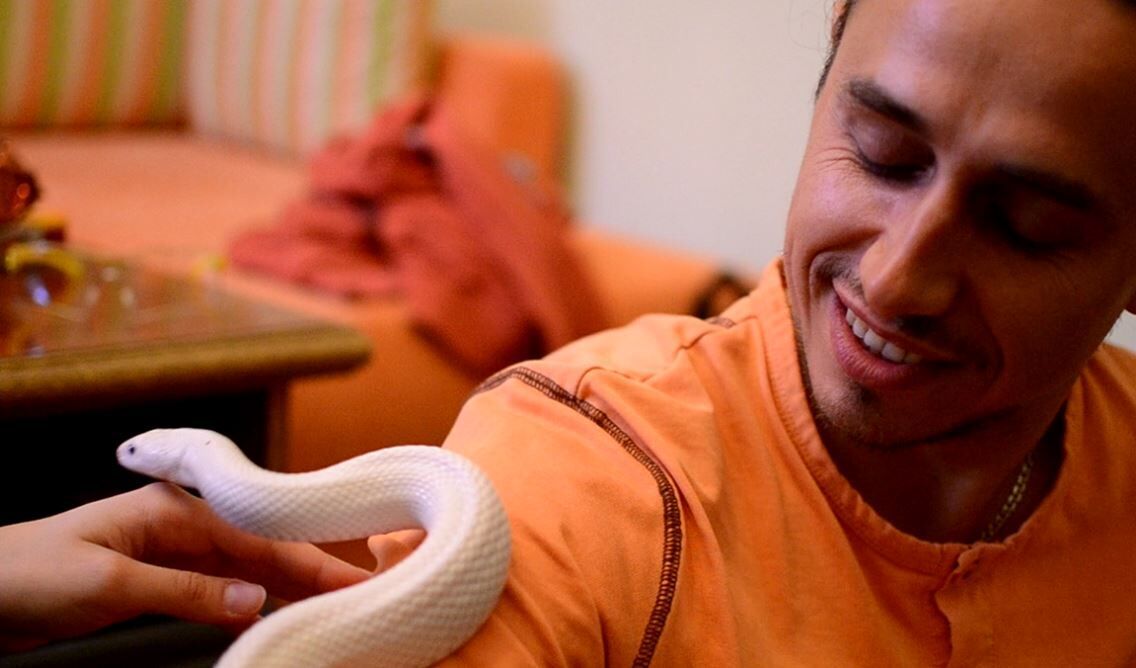 ���������� ��������������, ���� ������� Alex, 43 ����, ������������ ��� ����� � ���������, c�������� ���������