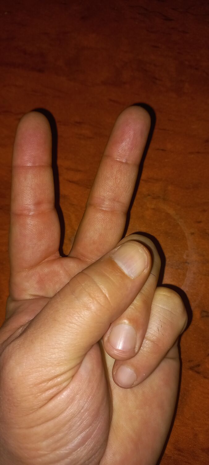 ���� 54883214 ������� �����, 45 ���, ���� ���������� � ������