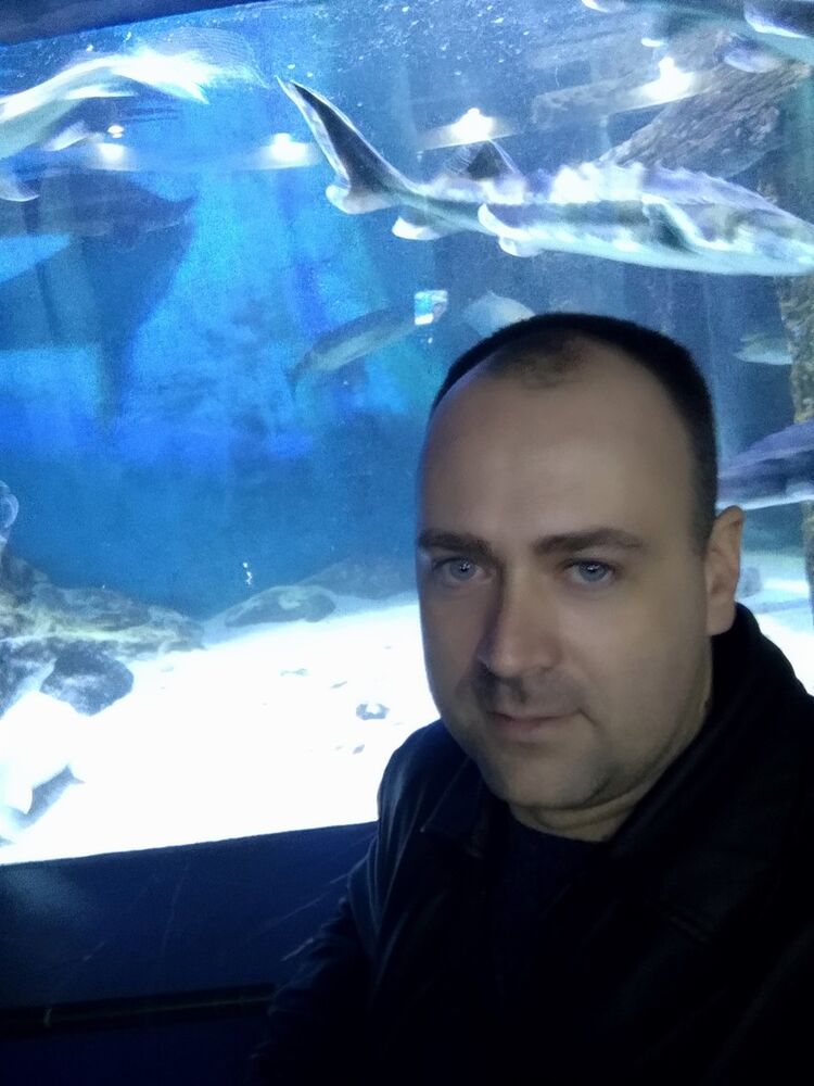 ���� 18994494 ������� ����, 40 ���, ���� ���������� � �����������