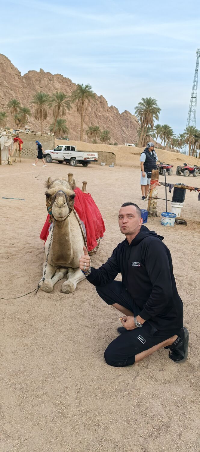 ���������� ������, ���� ������� ��������, 38 ���, ������������ ��� ������, ����� � ���������