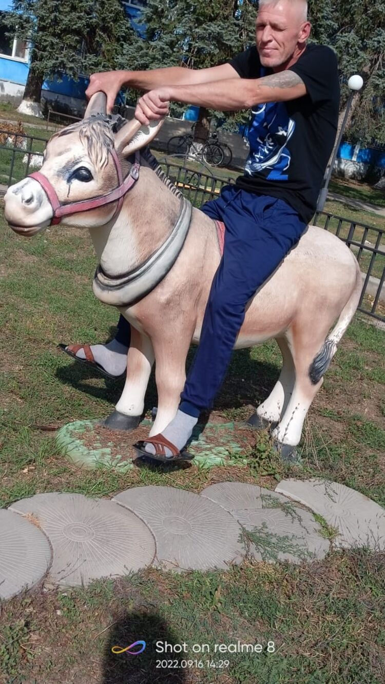  31503874  , 46 ,    