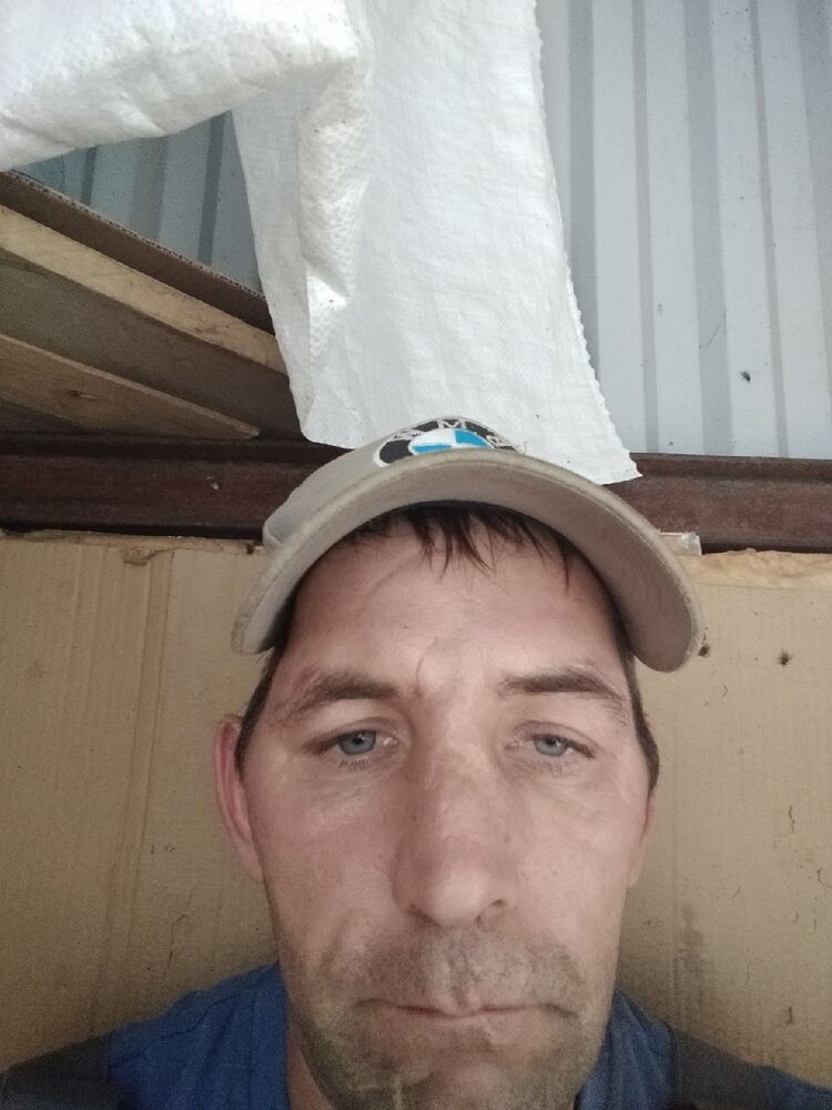  46060634  , 41 ,    