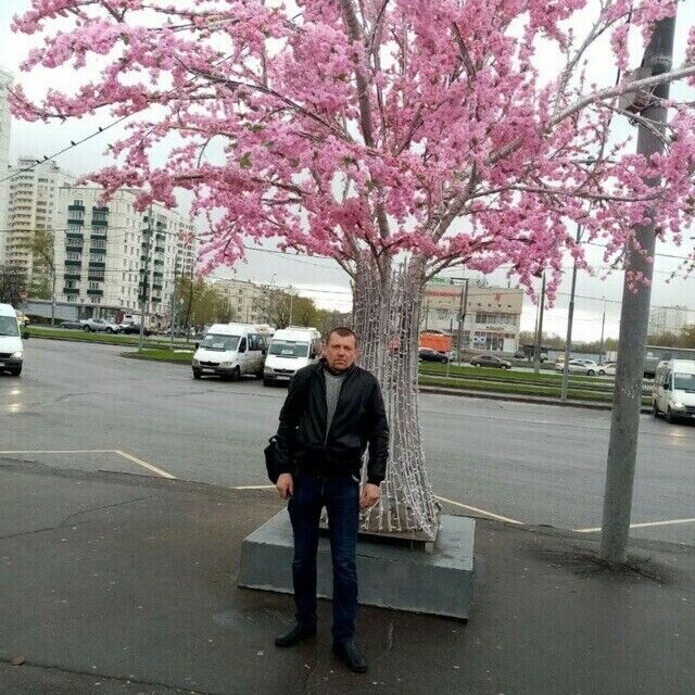 ���������� ������, ���� ������� ���������, 51 ���, ������������ ��� ������, ����� � ���������