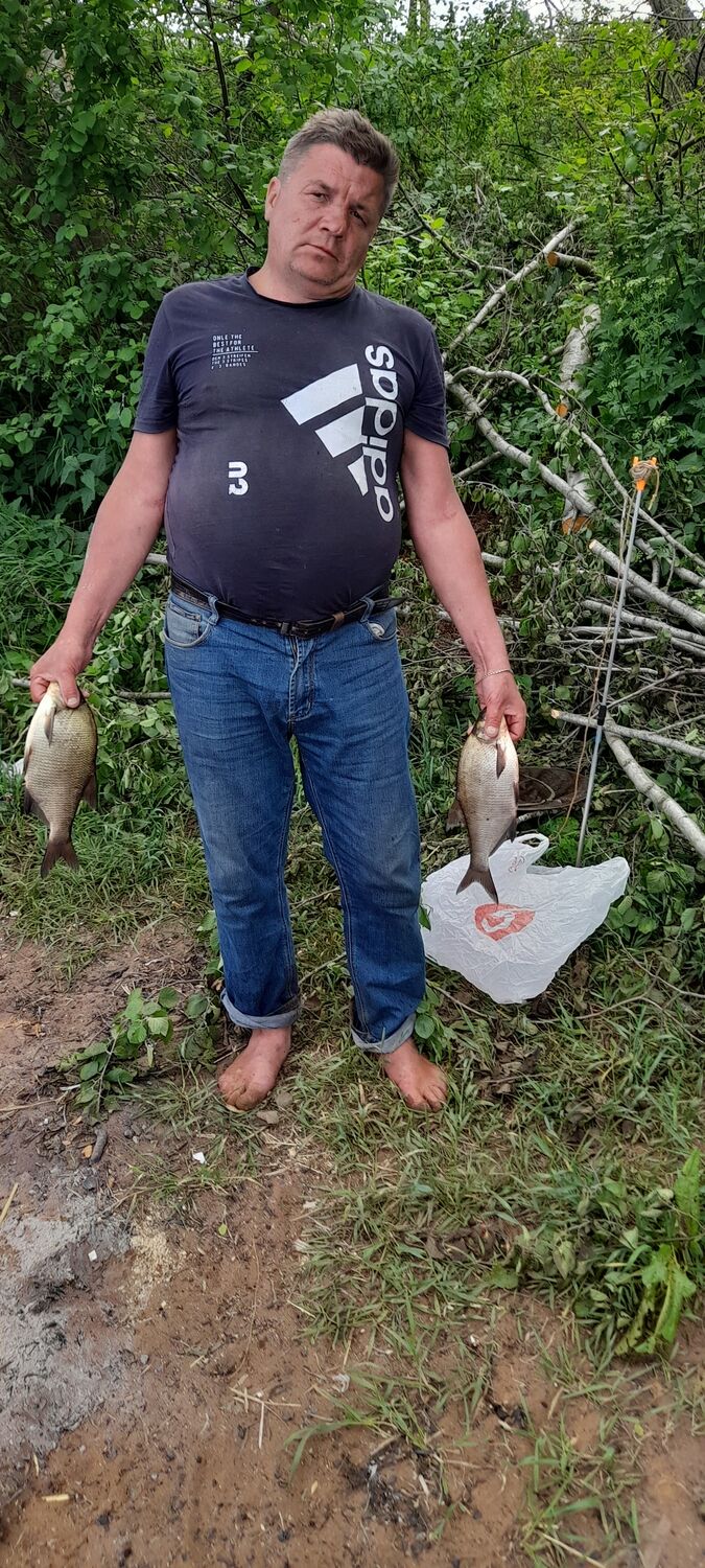  28361174  , 52 ,    -