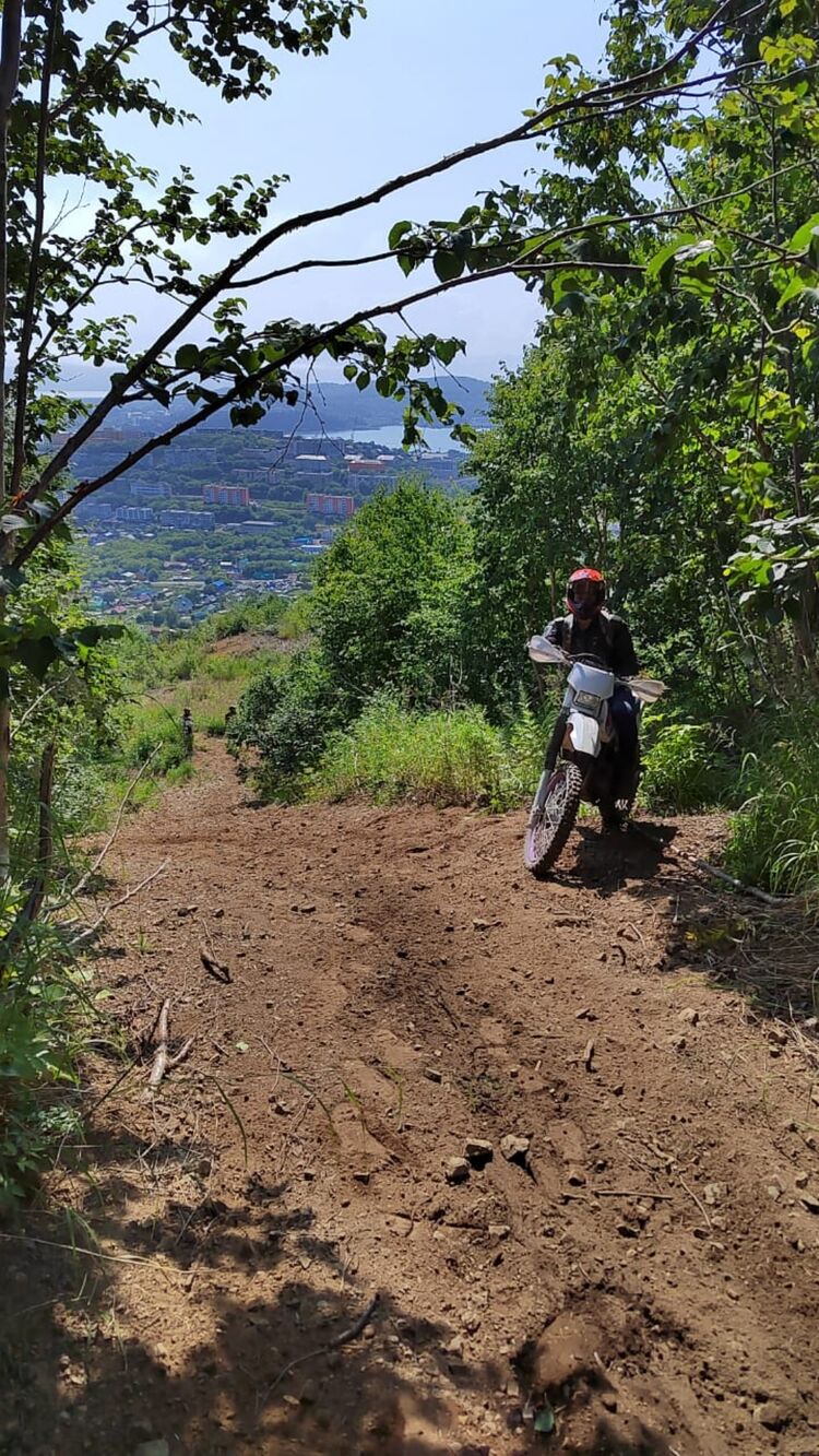 ���� 28137254 ������� ������, 26 ���, ���� ���������� � ��������������-����������