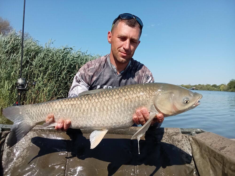  ,   ANDREY, 39 ,   ,   , c , 