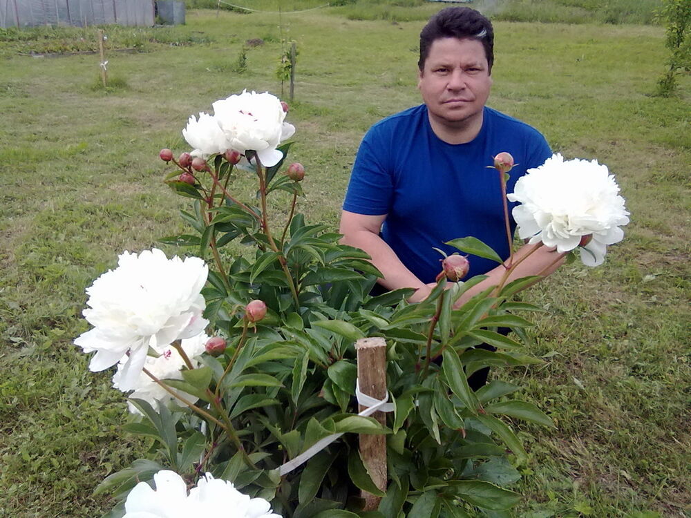 ���� 19328884 ������� ����, 59 ���, ���� ���������� � �����-����������