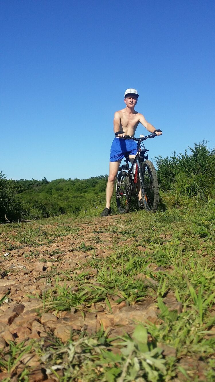  33764484  , 36 ,    