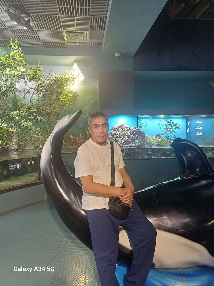  ,   , 55 ,   ,   