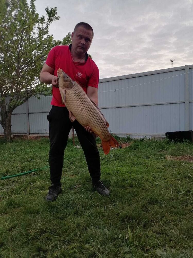 ���� 38248314 ������� ���, 38 ���, ���� ���������� � ������