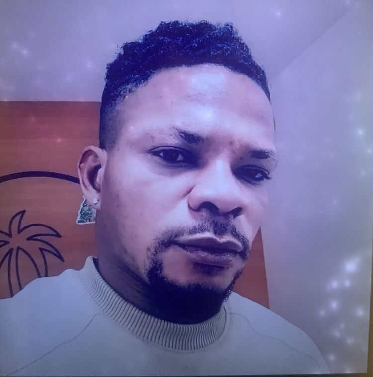 ���� 24987944 ������� Sistine, 40 ���, ���� ���������� � ������