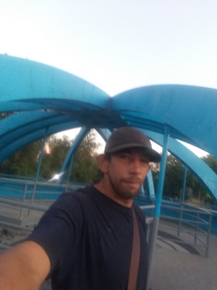  28800644  , 33 ,    