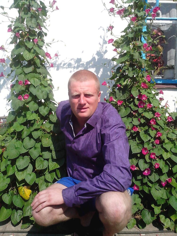 ���������� ����������, ���� ������� ��������, 38 ���, ������������ ��� ������, ����� � ���������, c�������� ���������