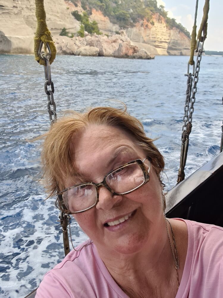  49279944  , 62 ,    -