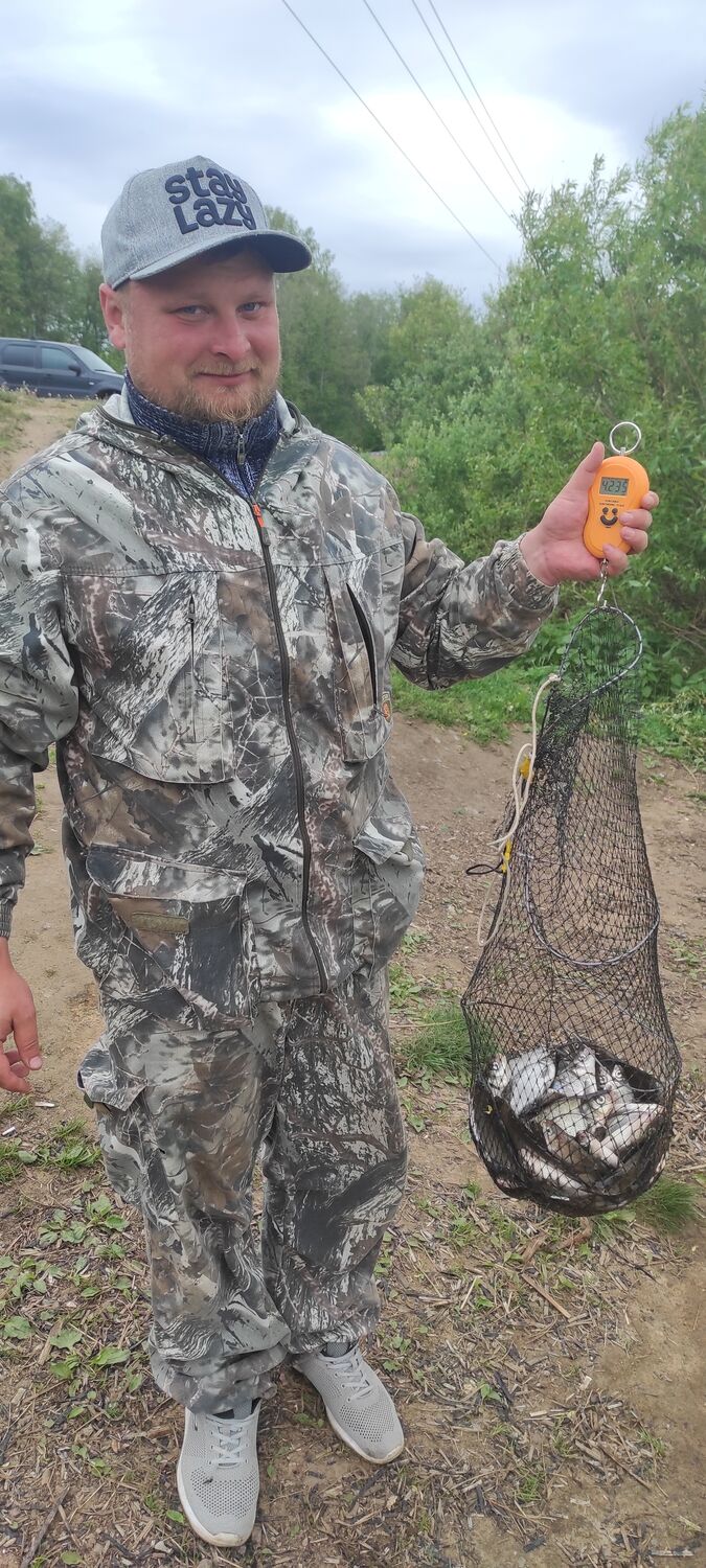  38039244  , 36 ,    -