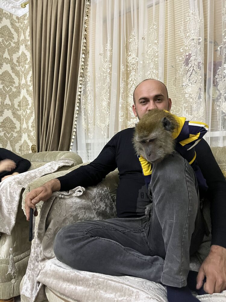  ,   , 35 ,   ,   