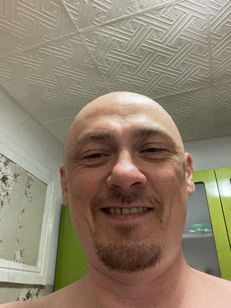  44091434  Lex Lion, 46 ,    -