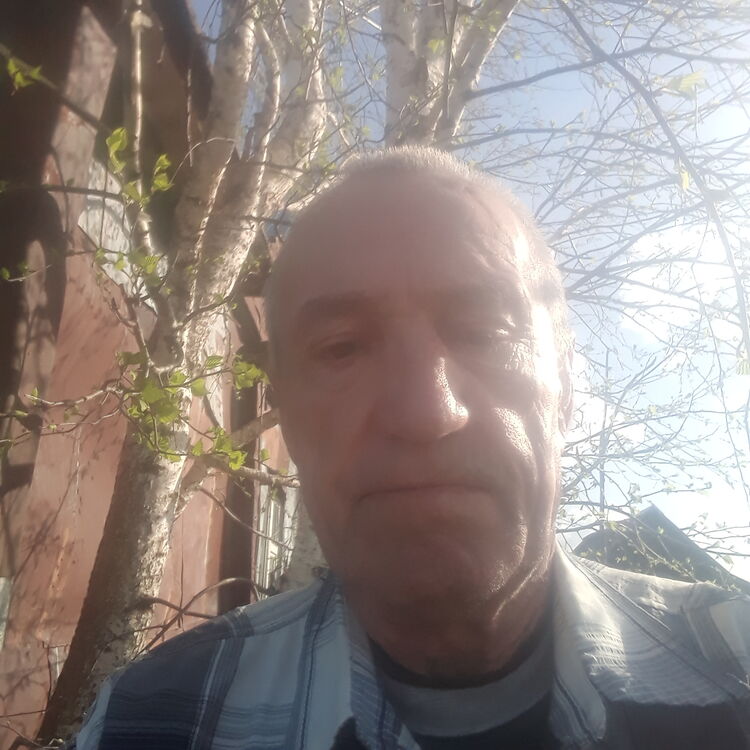  43924844  , 64 ,    
