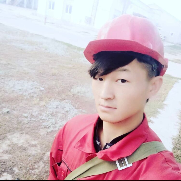  49806054  , 29 ,    