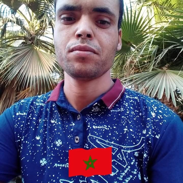 ���� 50440194 ������� Sal, 31 ���, ���� ���������� � ������