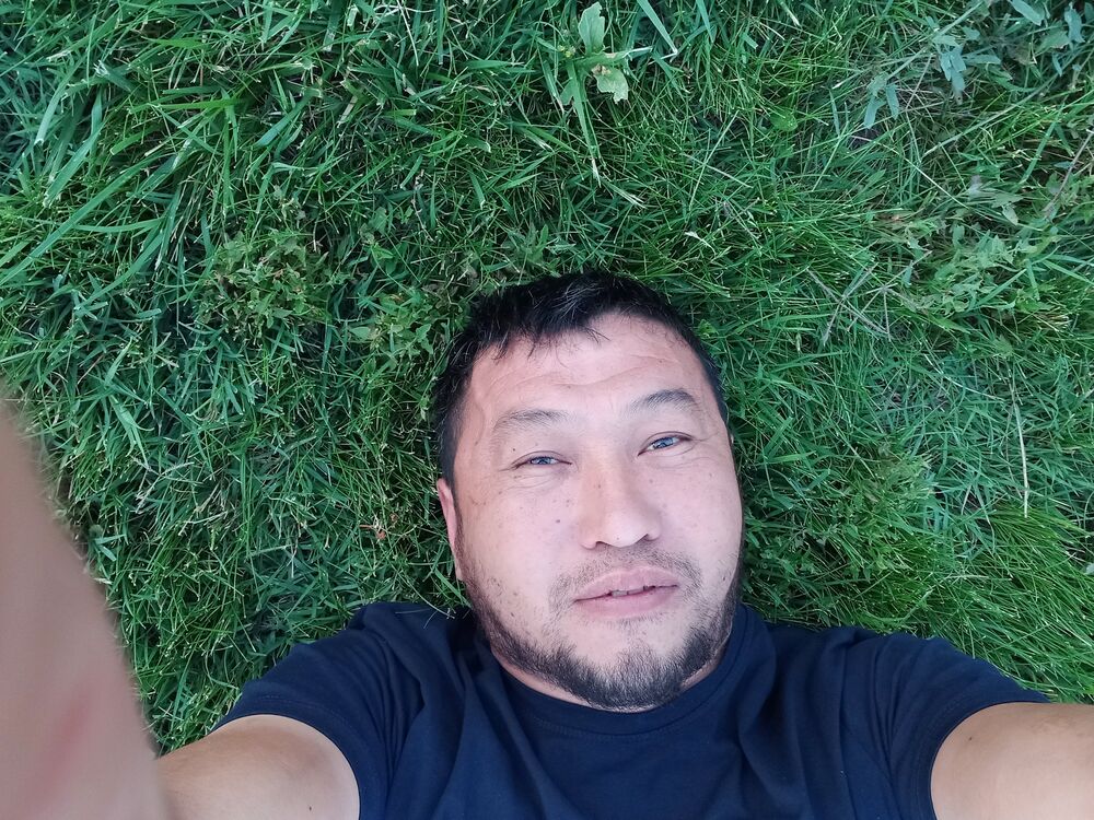  48153654  , 41 ,    