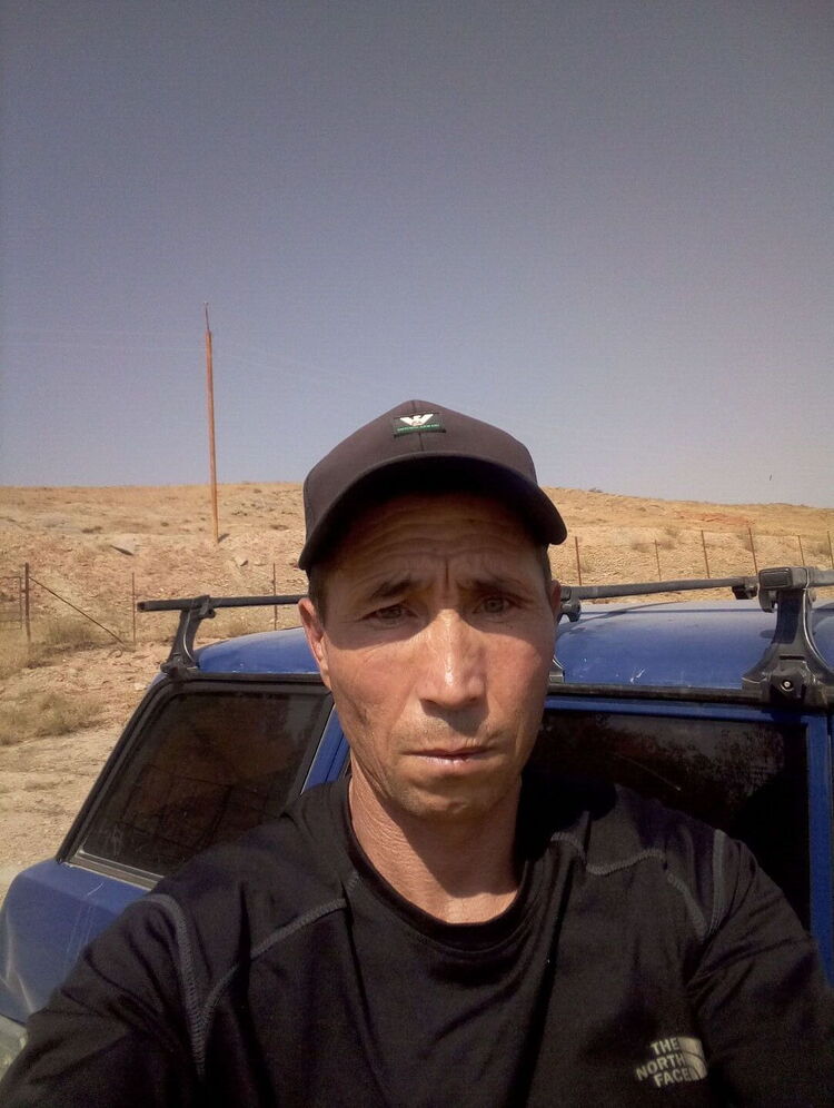  23968434  , 52 ,    