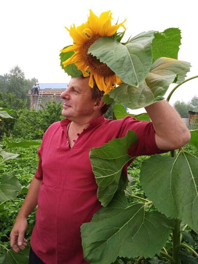 ���� 51779024 ������� �����, 46 ���, ���� ���������� � ��������