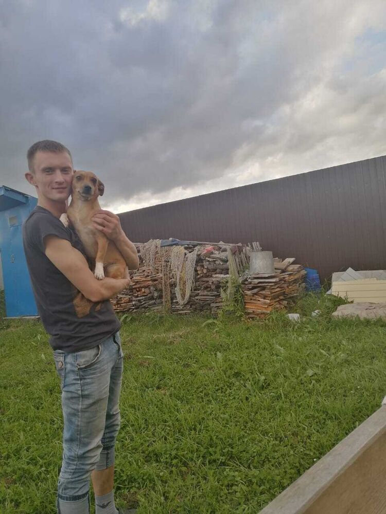  29948934  , 31 ,    -