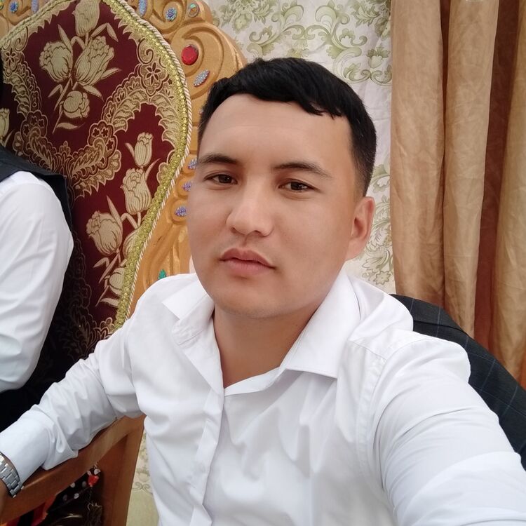  45371094  , 31 ,    