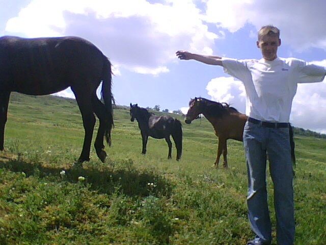 ���������� �������, ���� ������� Jenikadj, 41 ���, ������������ ��� ������