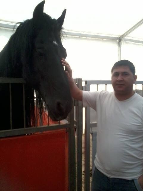 ���������� �����, ���� ������� Tolga, 41 ���, ������������ ��� ������, ����� � ���������, c�������� ���������