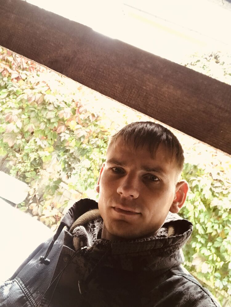  29499064  , 31 ,    