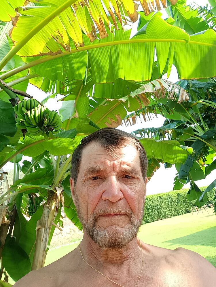  ,   , 67 ,   ,   , 
