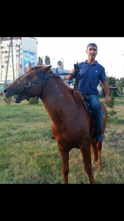 ���������� ���������, ���� ������� ������, 50 ���, ������������ ��� ������, ����� � ���������, c�������� ���������