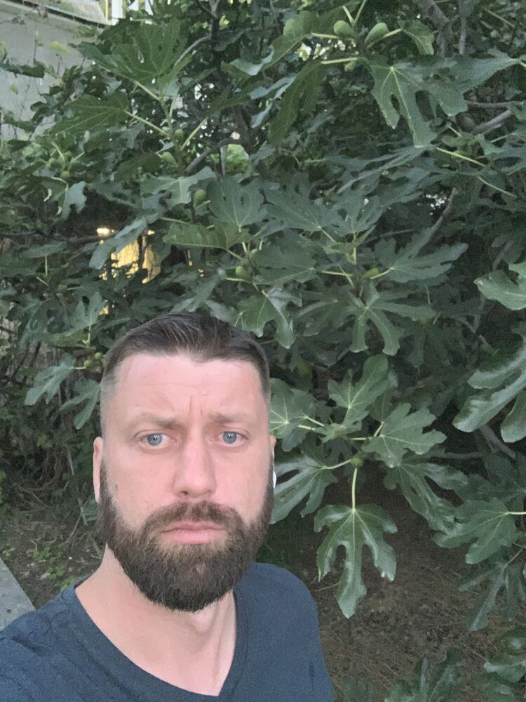 ���������� ������, ���� ������� ������, 40 ���, ������������ ��� ������, ����� � ���������, c�������� ���������, ���������