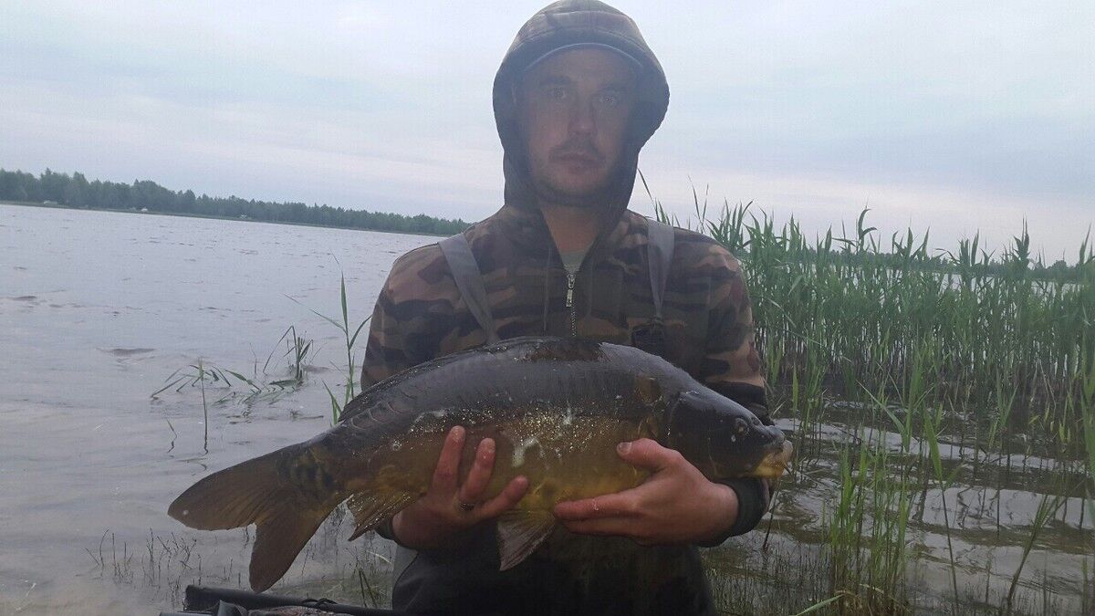 ���������� ������, ���� ������� �����, 51 ���, ������������ ��� ������, ����� � ���������, c�������� ���������