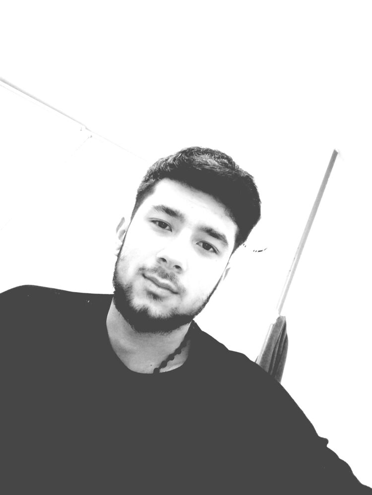  33845294  , 22 ,    -