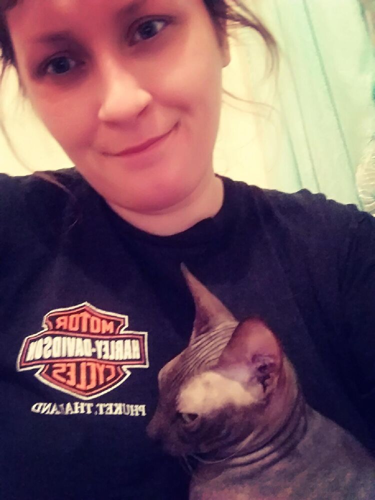 ���� 25491384 ������� �������, 36 ���, ���� ���������� � ����������