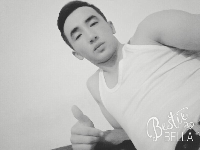  53632844  , 24 ,    