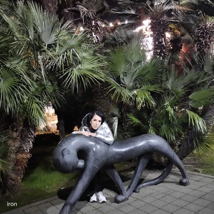  47088904  , 49 ,    