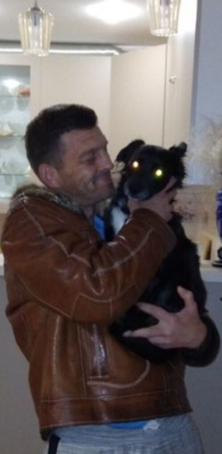 ���� 25003924 ������� ��������, 49 ���, ���� ���������� � ����������