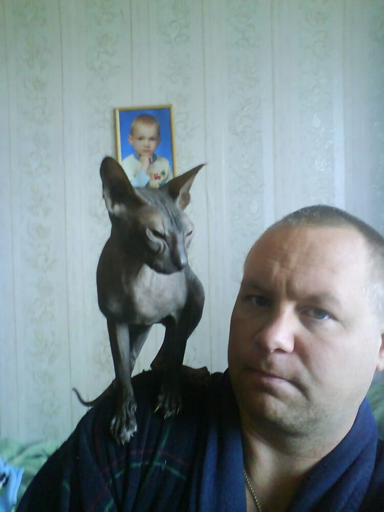 ���� 8071354 ������� �������, 50 ���, ���� ���������� � �����-����������