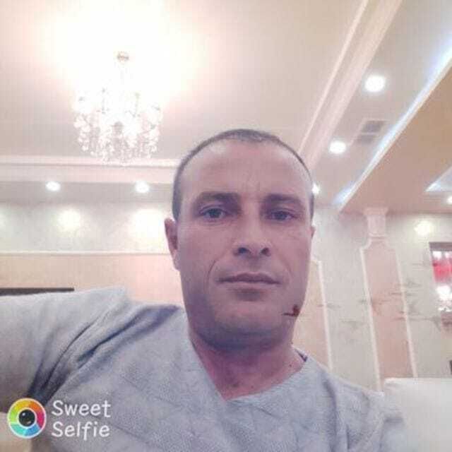  40593904  , 41 ,    