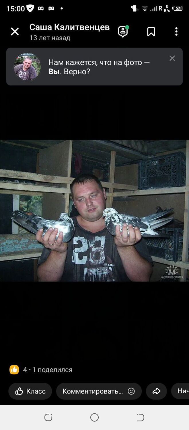 ���������� ���������, ���� ������� ���������, 43 ����, ������������ ��� ���������