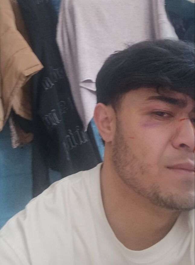 ���� 50157284 ����� �����, 24 ����, ���� ���������� � ������