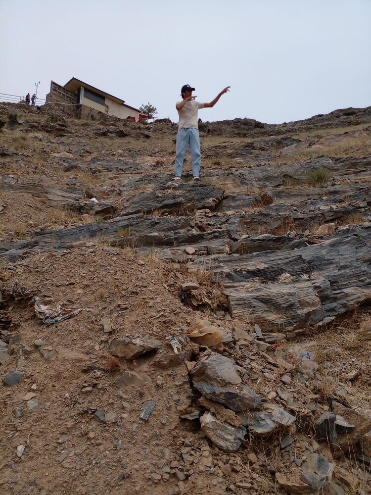 ���������� �����-���������, ���� ����� Aziz, 25 ���, ������������ ��� ����� � ���������, c�������� ���������